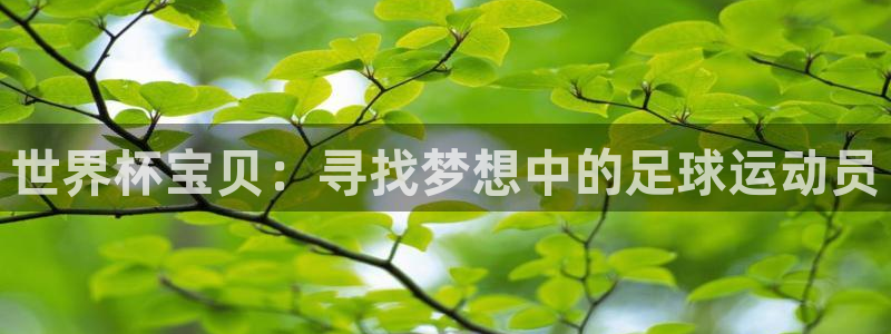 世界杯亚洲区预选赛赛程：世界杯宝贝：寻找梦想中的足球运动员