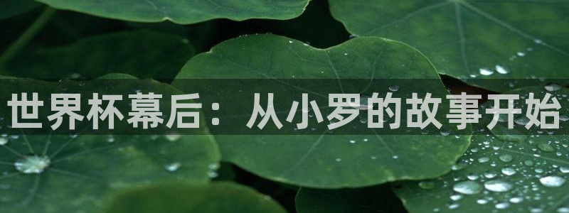 2026足球世界杯：世界杯幕后：从小罗的故事开始