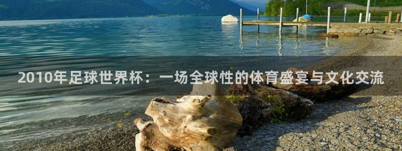 澳门世界杯直播：2010年足球世界杯：一场全球性的体育盛宴与文化交流