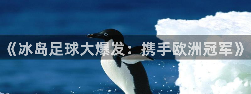 世界杯官网入口：《冰岛足球大爆发：携手欧洲冠军》