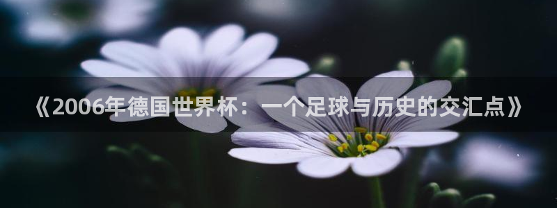 足球世界杯时间：《2006年德国世界杯：一个足球与历史的交汇点》