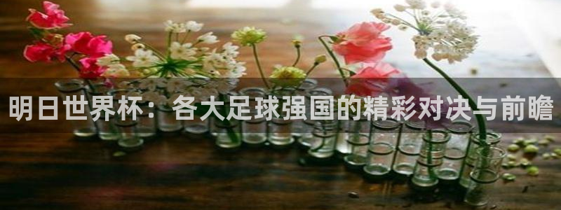 世界杯预选赛欧洲区赛程：明日世界杯：各大足球强国的精彩对决与前瞻