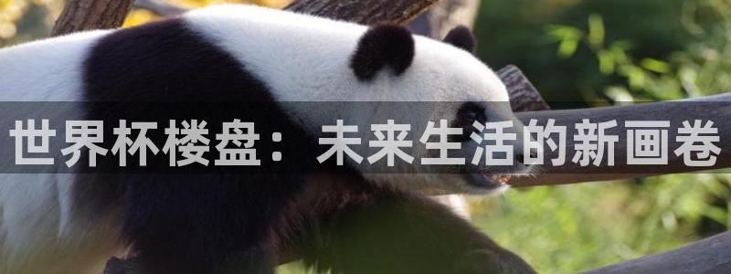 世界杯球赛：世界杯楼盘：未来生活的新画卷