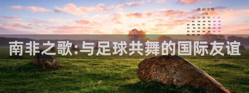 世界杯对阵表：南非之歌:与足球共舞的国际友谊