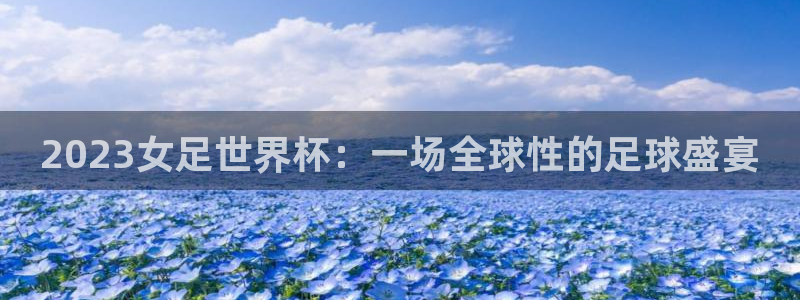 世界杯足球赛2026：2023女足世界杯：一场全球性的足球盛宴