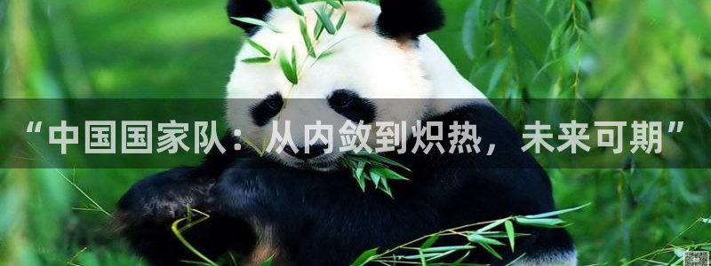 世界杯转播表：“中国国家队：从内敛到炽热，未来可期”