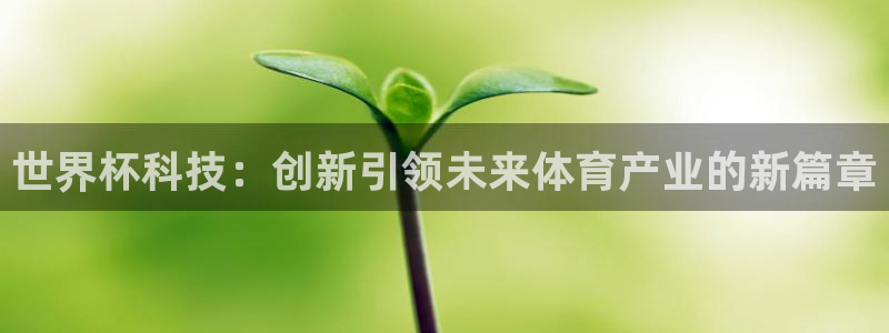 2026世界杯赛程：世界杯科技：创新引领未来体育产业的新篇章