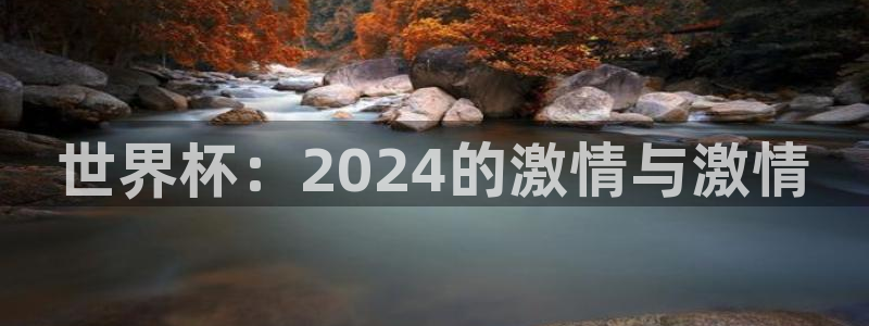 世界杯亚洲区预选赛赛程：世界杯：2024的激情与激情