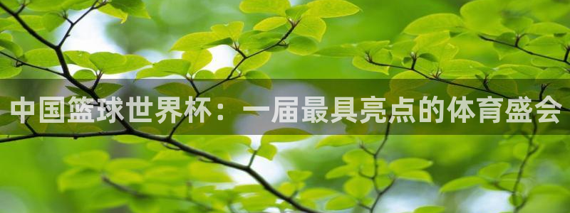 今年的世界杯：中国篮球世界杯：一届最具亮点的体育盛会