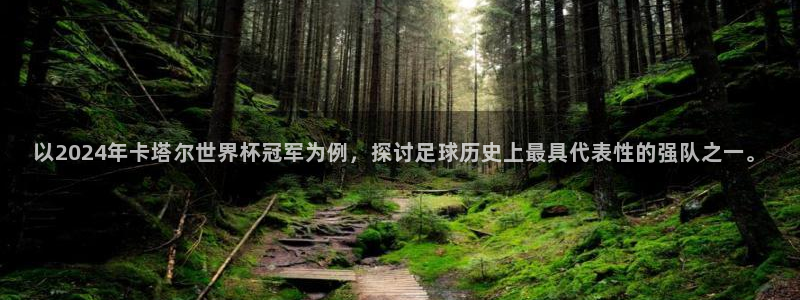 法国杯2026赛程表：以2024年卡塔尔世界杯冠军为例，探讨足球历史上最具代表性的强队之一。